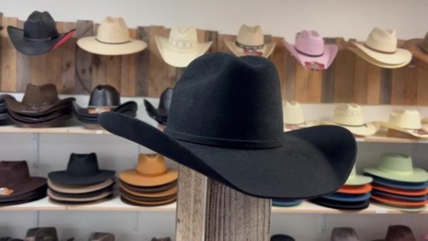 Yellowstone Cowboy Collection - Image 8